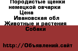 Породистые щенки немецкой овчарки  › Цена ­ 10 000 - Ивановская обл. Животные и растения » Собаки   